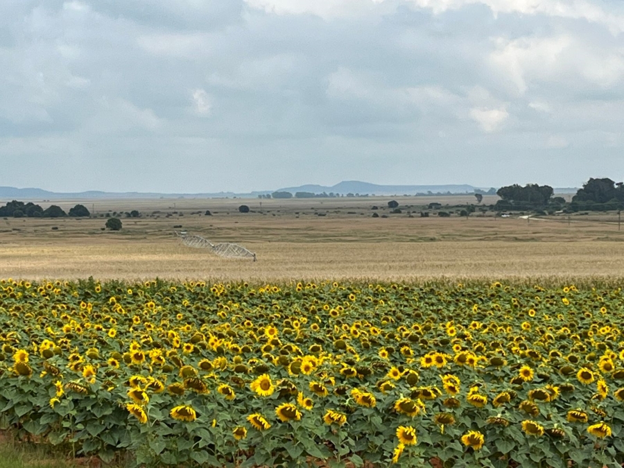 8 Bedroom Property for Sale in Bloemfontein Rural Free State